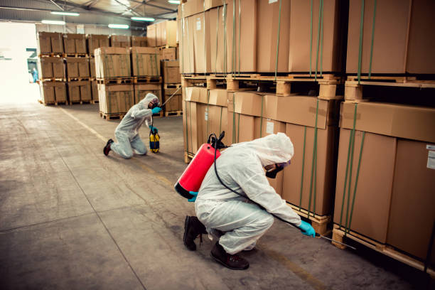 Best Wildlife Control Services  in Rancho Santa Margarita, CA