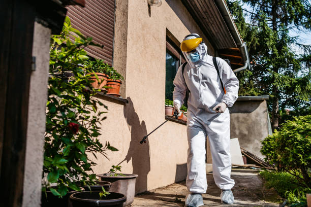 Trusted Rancho Santa Margarita, CA Pest Control Experts