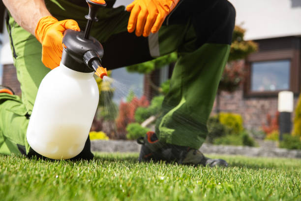 Pest Control for Restaurants in Rancho Santa Margarita, CA