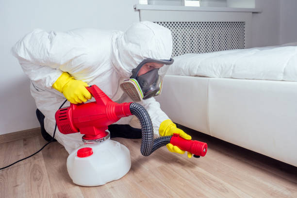 Best Rat Extermination Near Me  in Rancho Santa Margarita, CA