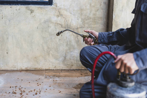 Best Pest Inspection Near Me  in Rancho Santa Margarita, CA