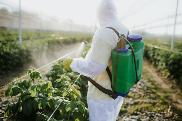 Best Best Pest Control Companies  in Rancho Santa Margarita, CA